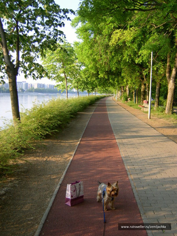 photo 12301