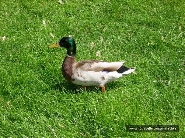 photo 12304