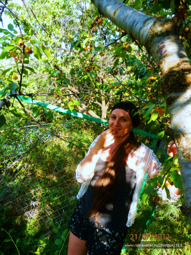 photo 144948