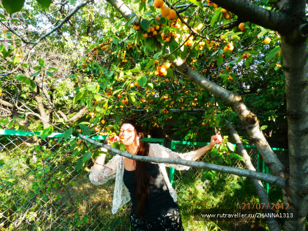 photo 144949