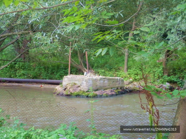 photo 144959