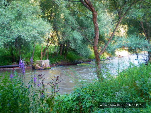 photo 144964