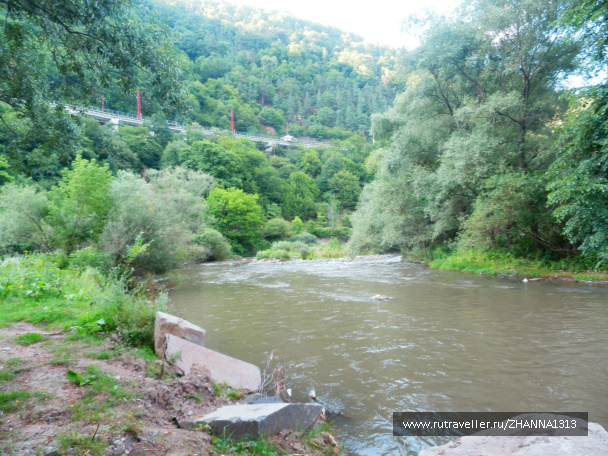 photo 144965