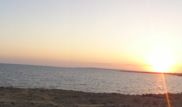 DSC08069