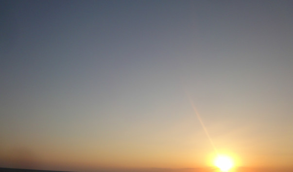 DSC08059