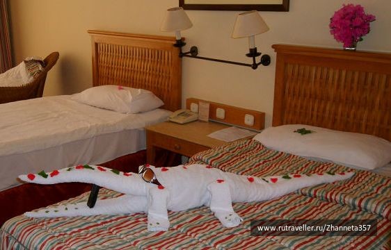 photo 161670