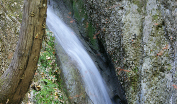 DSC07617