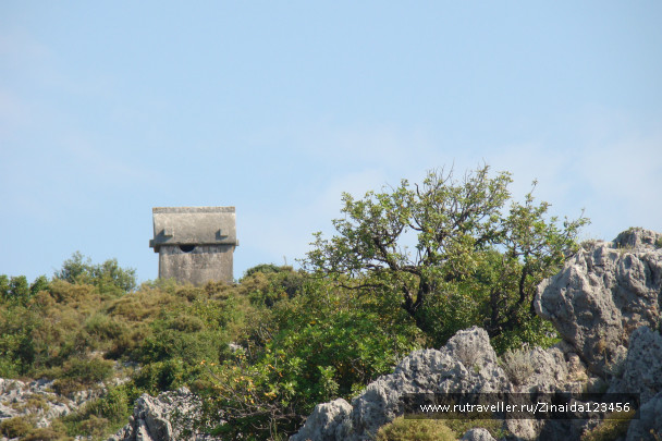 photo 173519