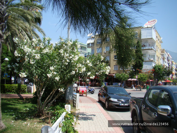 photo 173530
