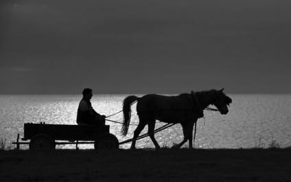 photo 20753