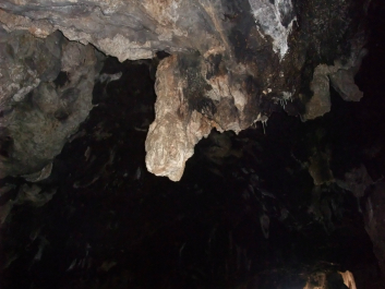 photo 699615