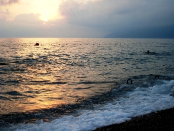 photo 486763
