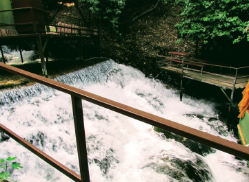 photo 1666245