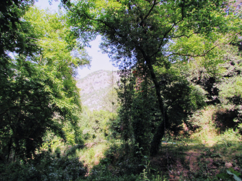 photo 1666434