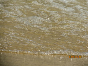 photo 1662314