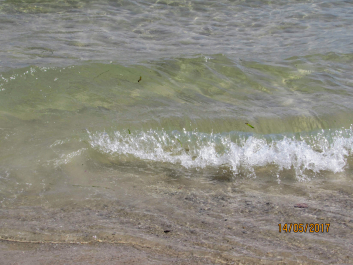 photo 1663216