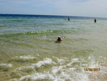 photo 1664152