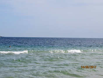 photo 1664345