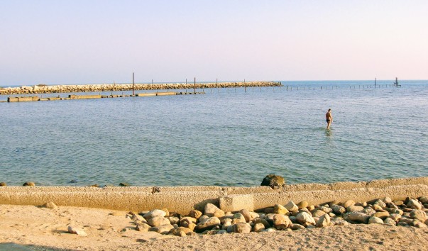 DSC05380