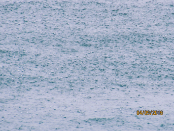 photo 1655140