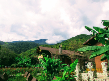 photo 1677159