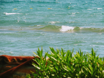 photo 1692464