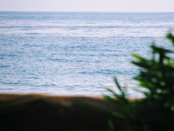 photo 1695038