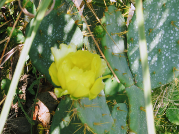 photo 1690399
