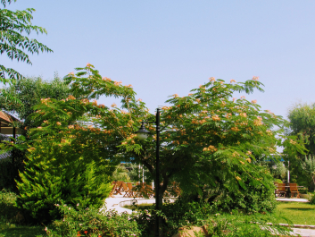 photo 1696015