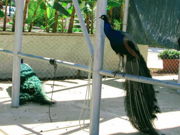 photo 1668545