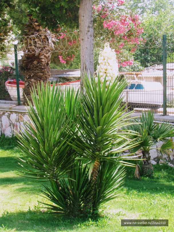 photo 1671721