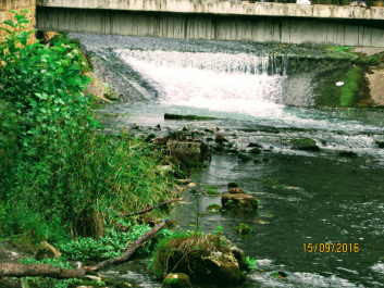 photo 1664919