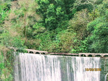 photo 1665655