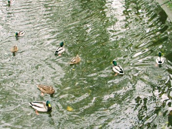 photo 1703631