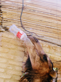 photo 1781766
