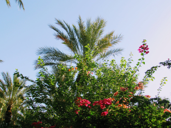 photo 1781769