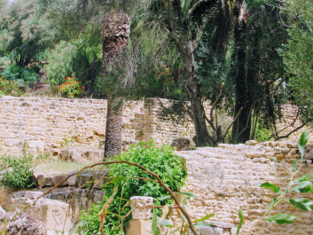 photo 1783563