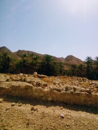 photo 1785907