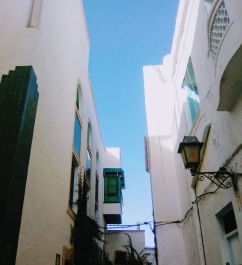 photo 1788096