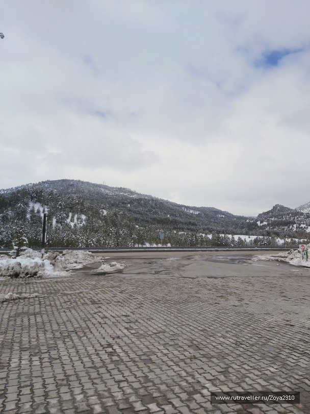 photo 2016476