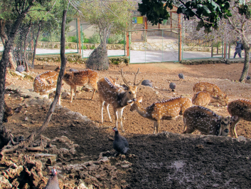 photo 2016637