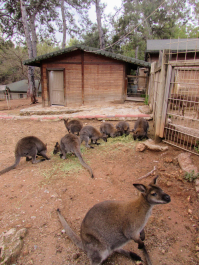 photo 2022564