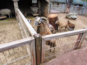 photo 2022565