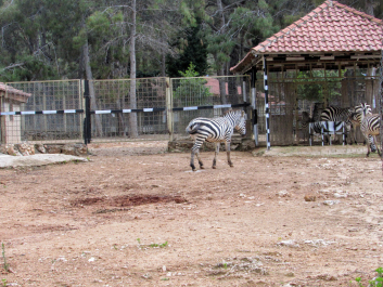 photo 2022772