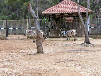 photo 2022773