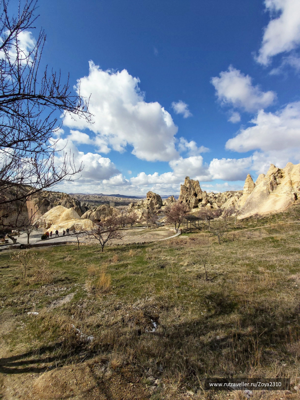 photo 2017623