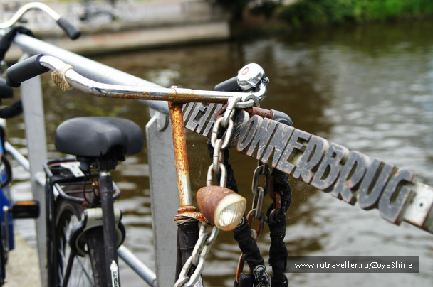 photo 279545