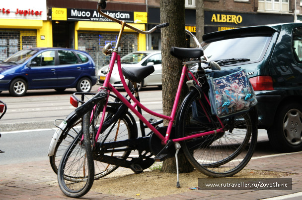 photo 279548