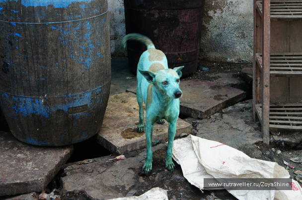 photo 357769