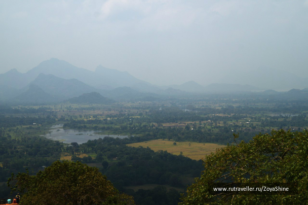 photo 696857